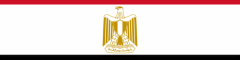 Buy Holistic EMF Protection in Egypt